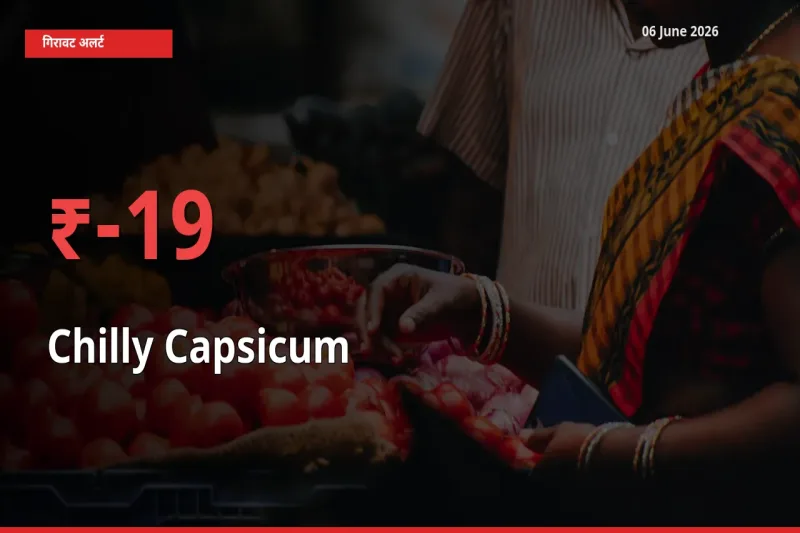 अचानक झटका! मंडी में हरी शिमला मिर्च के दाम 19.12% टूटे