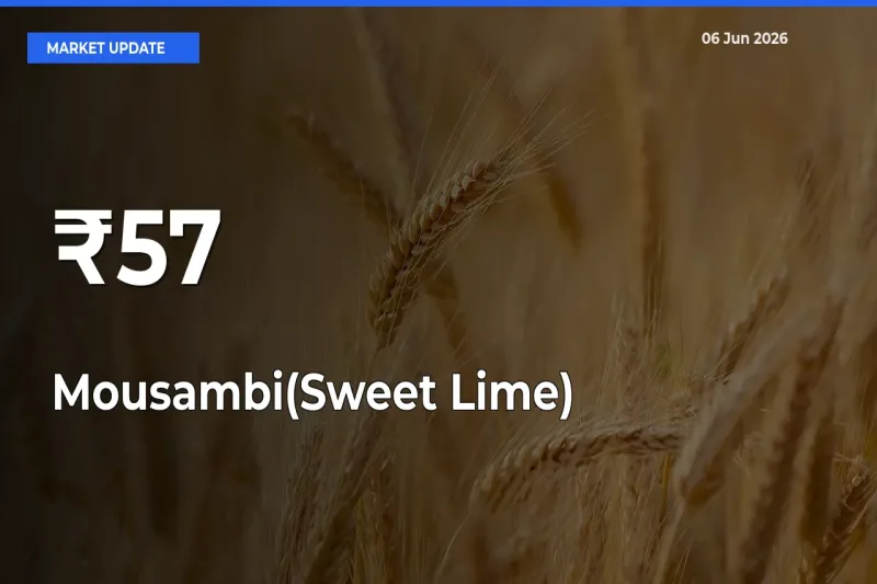 Mousambi(Sweet Lime) Prices Trend Across 57+ Mandis – Market Direction Turns Clear
