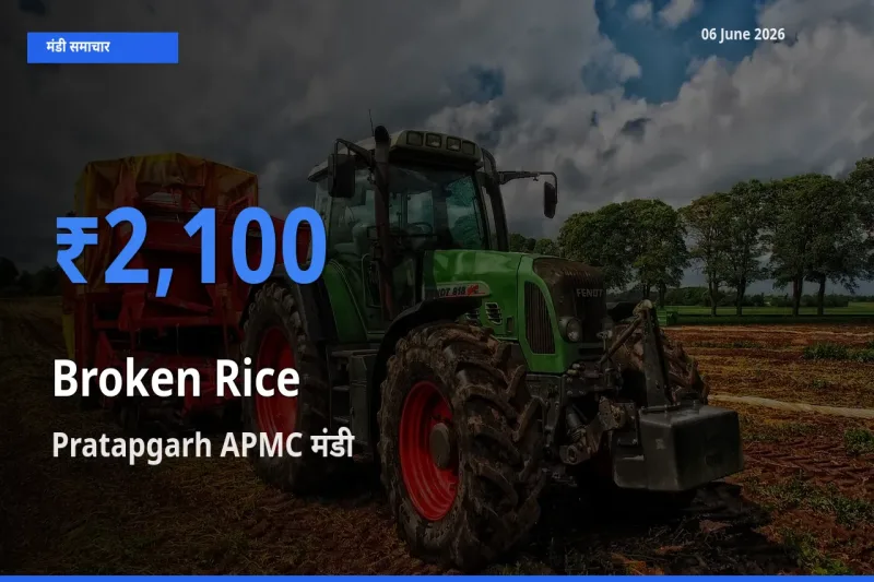 06 June अपडेट: टूटा चावल के सबसे ऊँचे दाम Pratapgarh APMC मंडी में