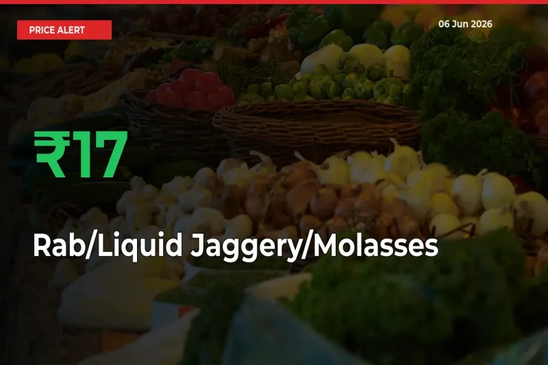 Rab/Liquid Jaggery/Molasses Prices Rise 16.67% in a Day at Major Mandis