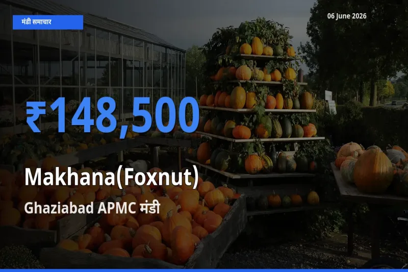 आज का मंडी भाव: मखाना के सबसे ज़्यादा दाम Ghaziabad APMC में