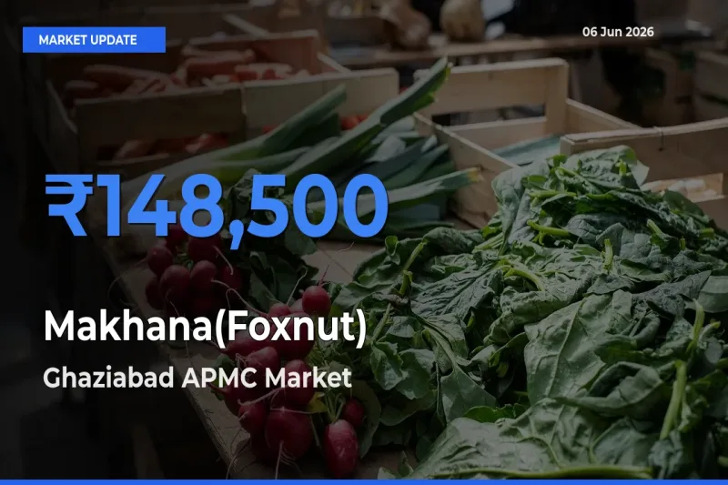 Ghaziabad APMC Leads as Top Mandi for Makhana(Foxnut) Prices