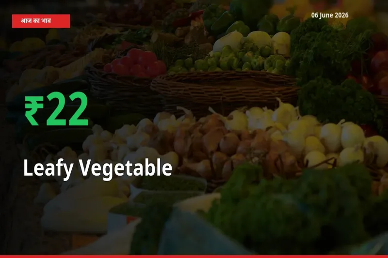 तेज़ तेजी! मंडी में पत्तेदार सब्जी के दाम 22.02% चढ़े