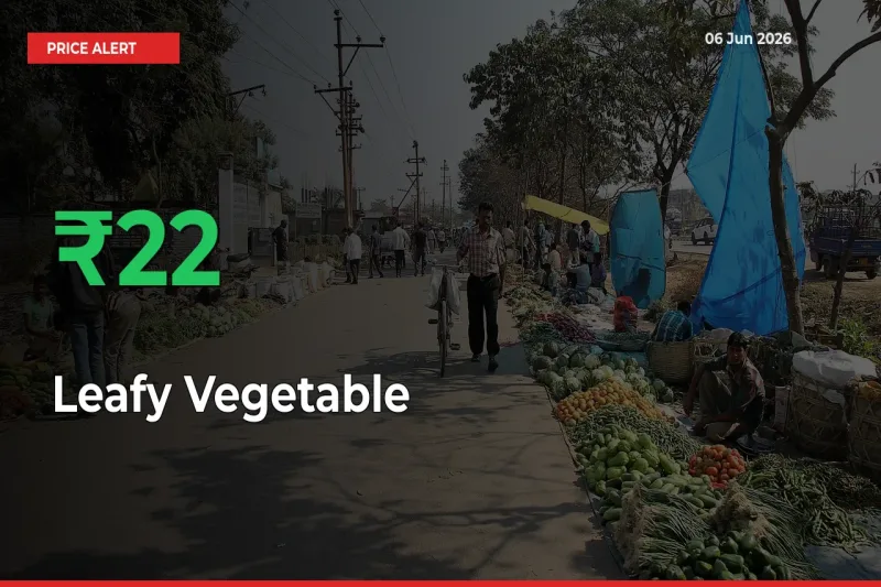Why Leafy Vegetable Prices Rose 22.02% in a Day at Mandis