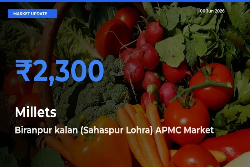 Millets Mandi Rate Today: Biranpur kalan (Sahaspur Lohra) APMC Tops the List