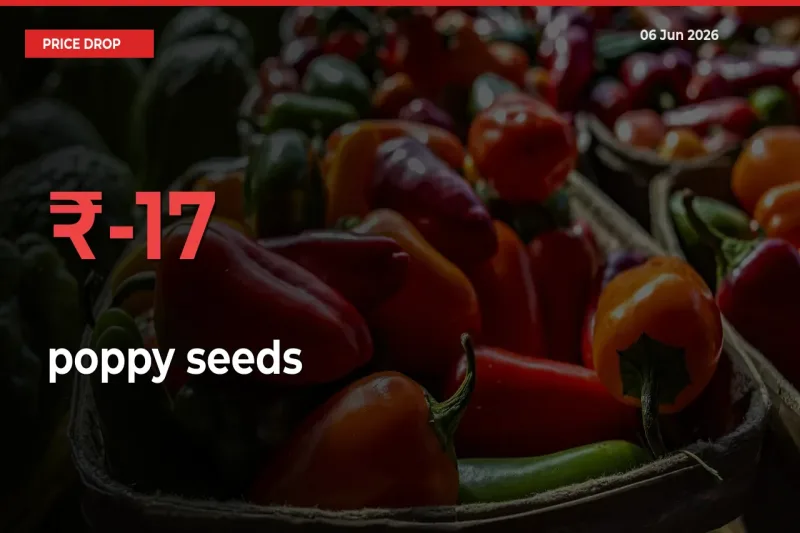 Sharp Fall! poppy seeds Prices Plunge 16.71% in a Day at Key Mandis