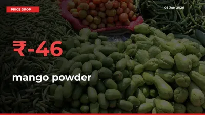 mango powder Mandi Rate Today: Prices Fall 46.09% at Market
