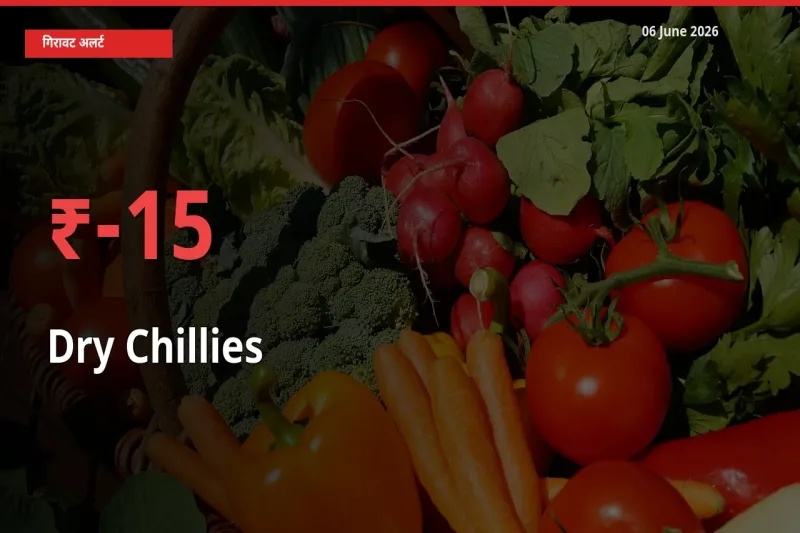 सूखी लाल मिर्च 15.22% गिरा, मंडी