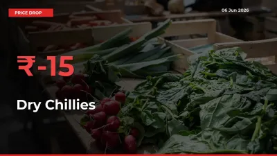 This Mandi Records 15.22% Fall in Dry Chillies Prices