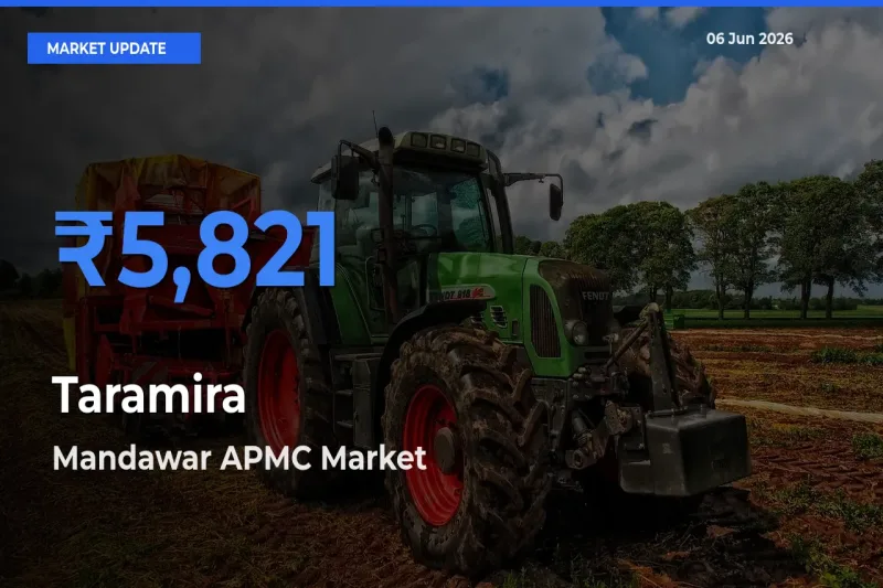 Mandawar APMC Tops Taramira Rates – June 06 Market Update