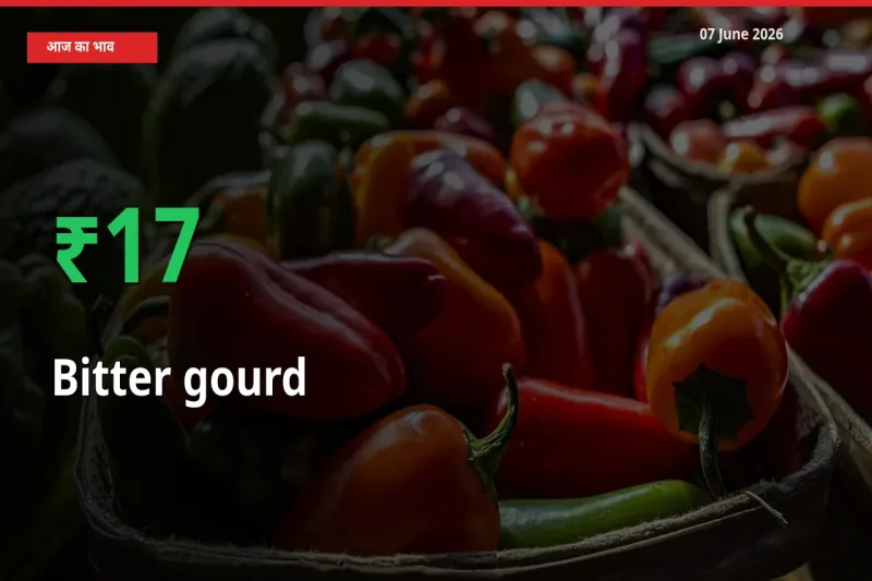 करेला के दाम प्रमुख मंडी में 17.29% बढ़े, 24 घंटे में बड़ा बदलाव