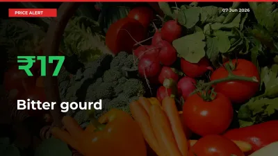 Sharp Jump! Bitter gourd Prices Climb 17.29% in 24 Hours at Key Mandis