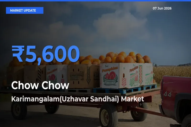 Karimangalam(Uzhavar Sandhai) Leads as Top Mandi for Chow Chow Prices