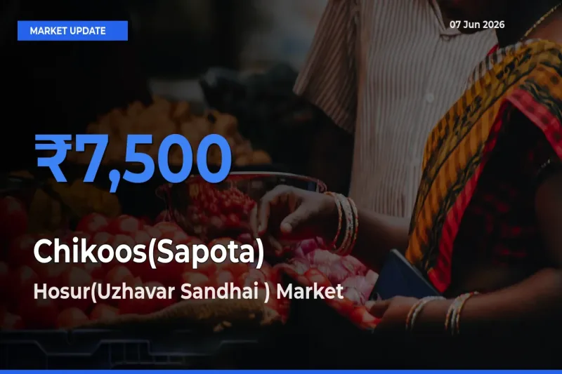 Hosur(Uzhavar Sandhai ) Records Highest ₹7,500 Rate for Chikoos(Sapota)