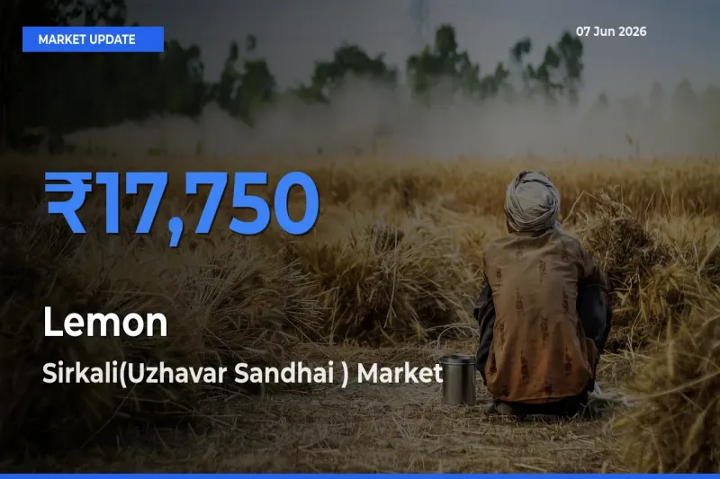 Sirkali(Uzhavar Sandhai ) Tops Lemon Rates – June 07 Market Update