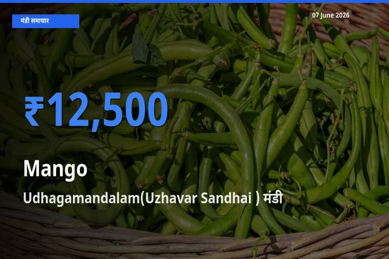 आज आम के सबसे ऊँचे दाम ₹12,500 Udhagamandalam(Uzhavar Sandhai ) मंडी में