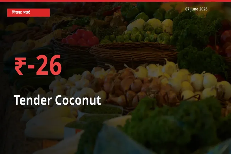 07 June अपडेट: कच्चा नारियल के दाम मंडी में 26.01% गिरे