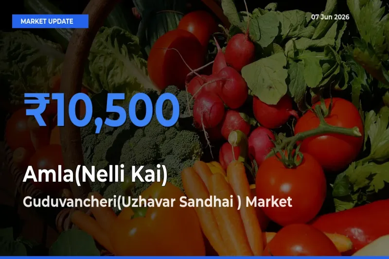 Guduvancheri(Uzhavar Sandhai ) Emerges as Top Mandi for Amla(Nelli Kai) Prices Today