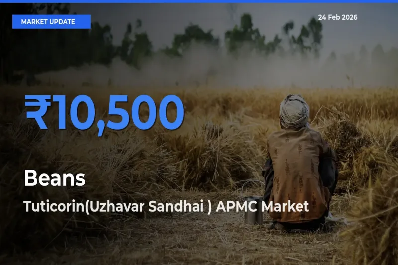 Beans Mandi Rate Today: Tuticorin(Uzhavar Sandhai ) APMC Tops the List
