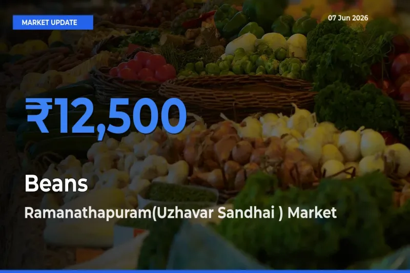 Ramanathapuram(Uzhavar Sandhai ) Offers ₹12,500 – Highest Beans Rate Today