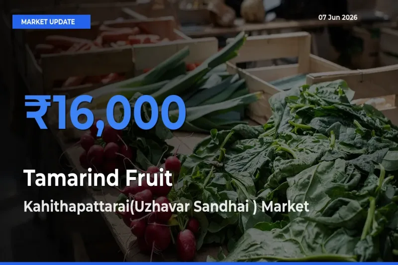 Kahithapattarai(Uzhavar Sandhai ) Tops Tamarind Fruit Mandi Rates Today