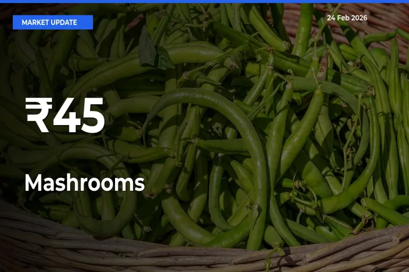 Multi-Mandi Trend Emerges as Mashrooms Prices Shift Across Key Markets