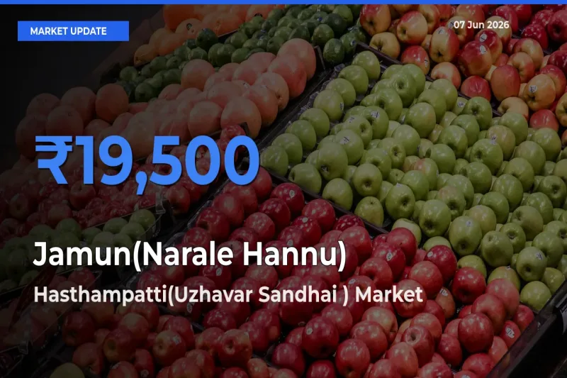 Hasthampatti(Uzhavar Sandhai ) Emerges as Top Mandi for Jamun(Narale Hannu) Prices Today