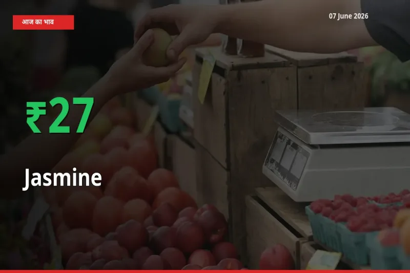 07 June अपडेट: चमेली के दाम मंडी में 26.9% उछले