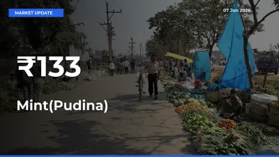 Why Mint(Pudina) Prices Are Moving Across Multiple Mandis Today