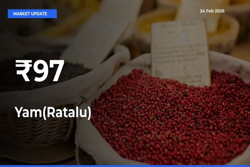 Yam(Ratalu) Prices Gain Momentum Across 97+ Mandis – Market Trend Strengthens