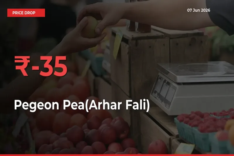 Sudden Shock! Pegeon Pea(Arhar Fali) Drops 34.62% in 24 Hours at Top Mandis