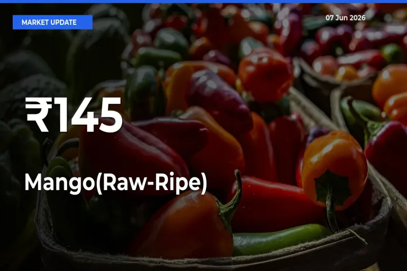Mango(Raw-Ripe) Mandi Prices Move in Sync Across Major Markets Today