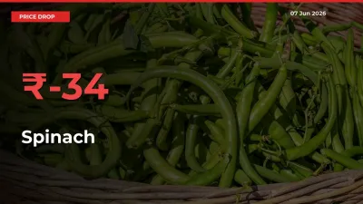 Spinach Falls 34.21% at Mandis