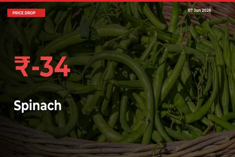 Spinach Falls 34.21% at Mandis