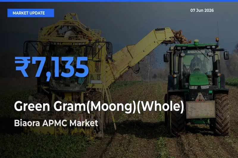 Farmers Prefer Biaora APMC as Green Gram(Moong)(Whole) Hits Highest Rate