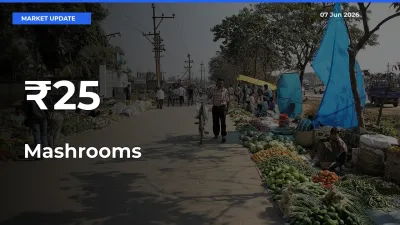Mashrooms Mandi Prices Move in Sync Across Major Markets Today