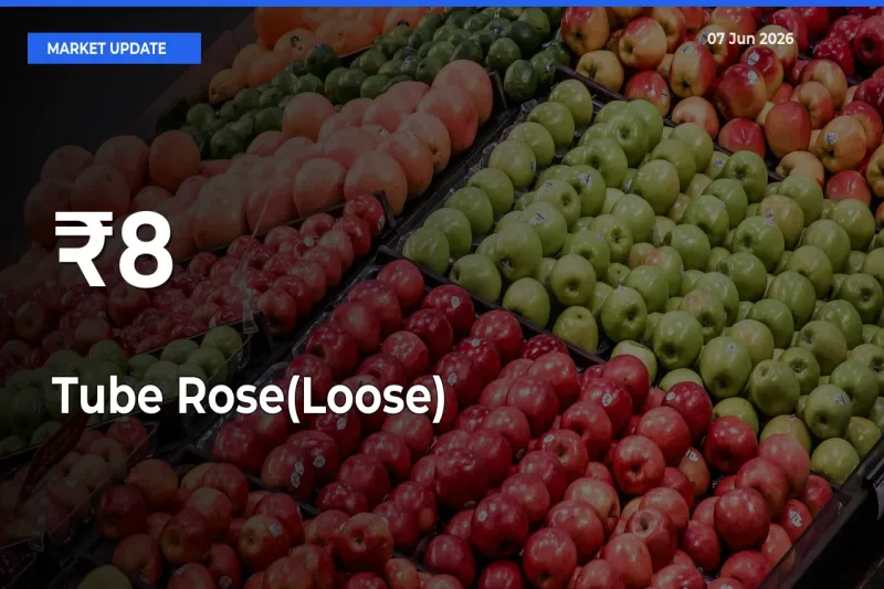 Multi-Mandi Trend Emerges as Tube Rose(Loose) Prices Shift Across Key Markets