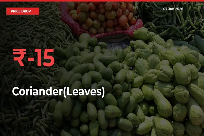 Sudden Shock! Coriander(Leaves) Drops 15.47% in 24 Hours at Top Mandis