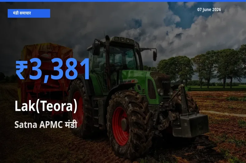 आज लाक(टेओरा) के सबसे ऊँचे दाम ₹3,381 Satna APMC मंडी में