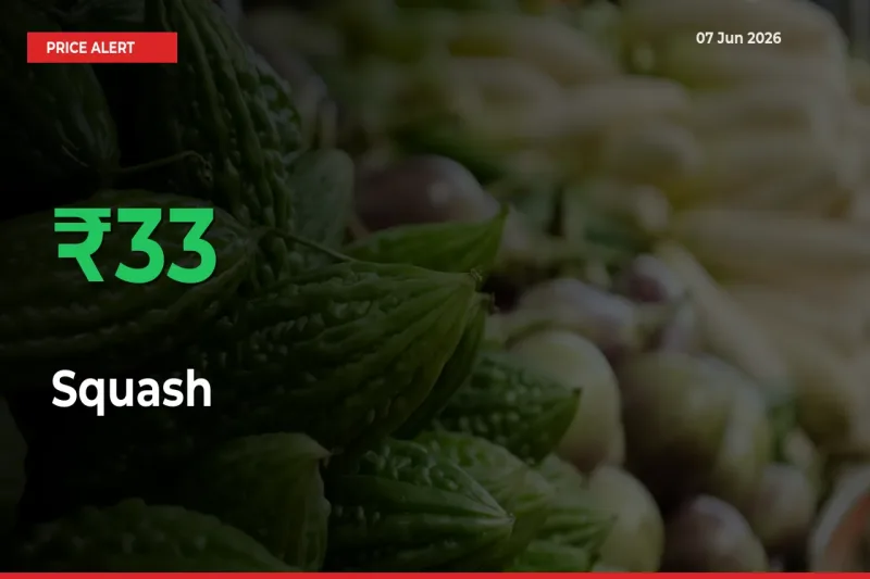 Squash Rises 32.74% at Mandis