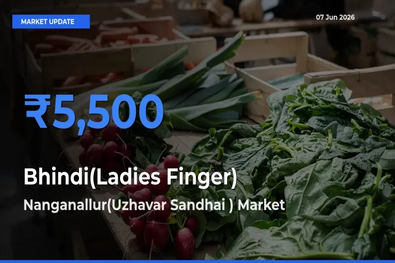 Bhindi(Ladies Finger) Mandi Rate Today: Nanganallur(Uzhavar Sandhai ) Tops the List
