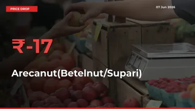 Arecanut(Betelnut/Supari) Prices Drop 16.61% – June 07 Market Update from Mandis
