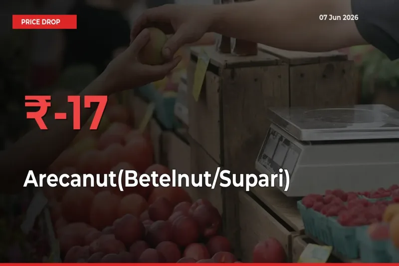Arecanut(Betelnut/Supari) Prices Drop 16.61% – June 07 Market Update from Mandis