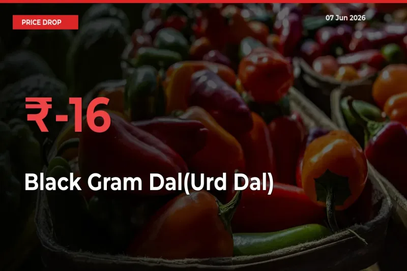 This Mandi Records 16.36% Fall in Black Gram Dal(Urd Dal) Prices
