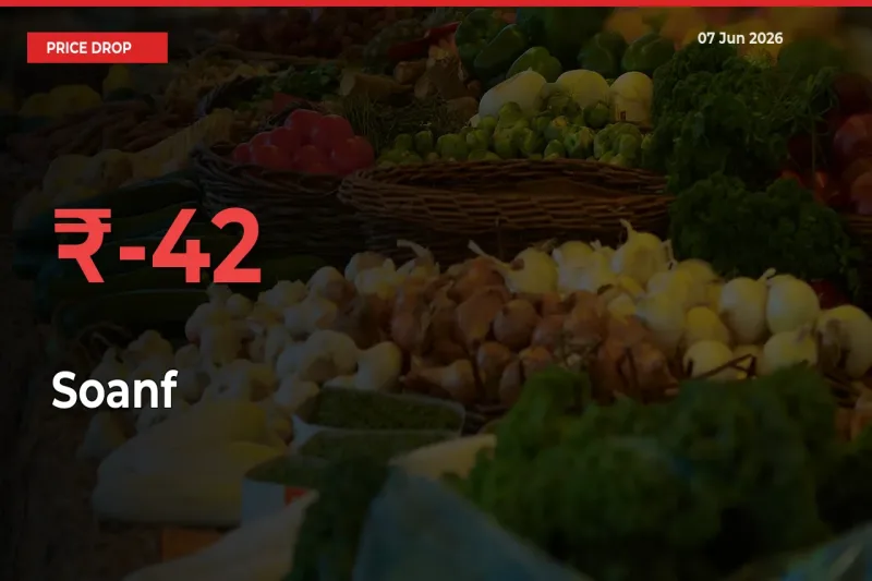 Why Soanf Prices Fell 42.29% in a Day at Mandis