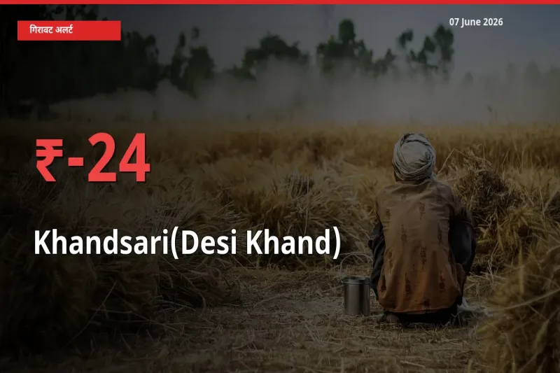 तेज़ गिरावट! मंडी में देसी खांड के दाम 24.46% लुढ़के