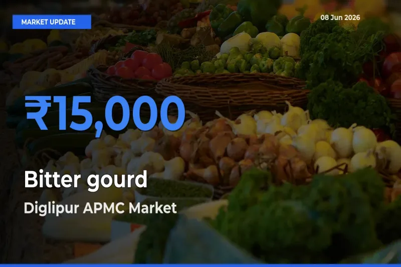 Diglipur APMC Leads as Top Mandi for Bitter gourd Prices