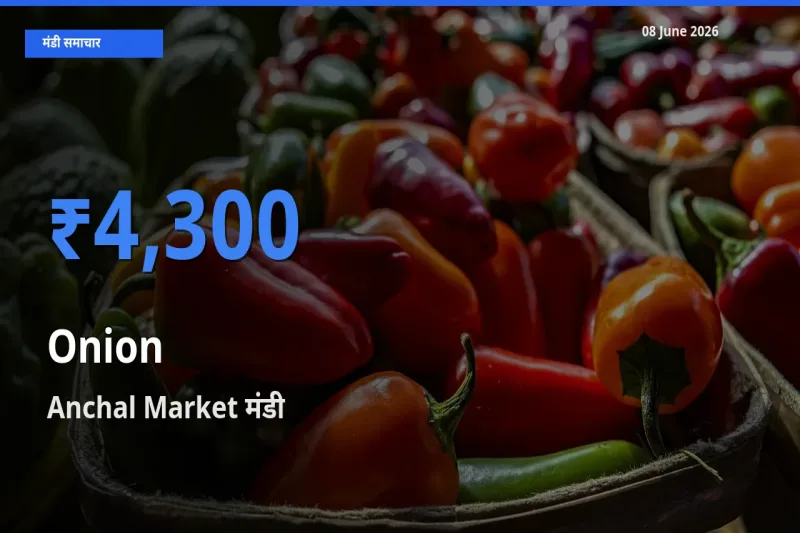किसानों की पसंद बना Anchal Market, प्याज के सबसे अच्छे दाम