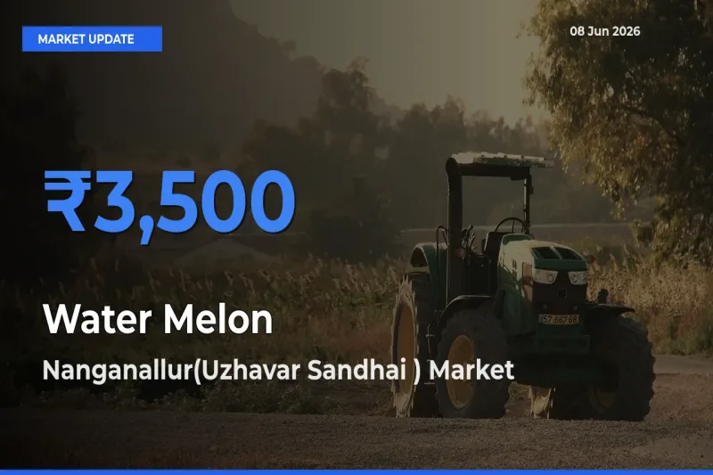 Nanganallur(Uzhavar Sandhai ) Leads as Top Mandi for Water Melon Prices