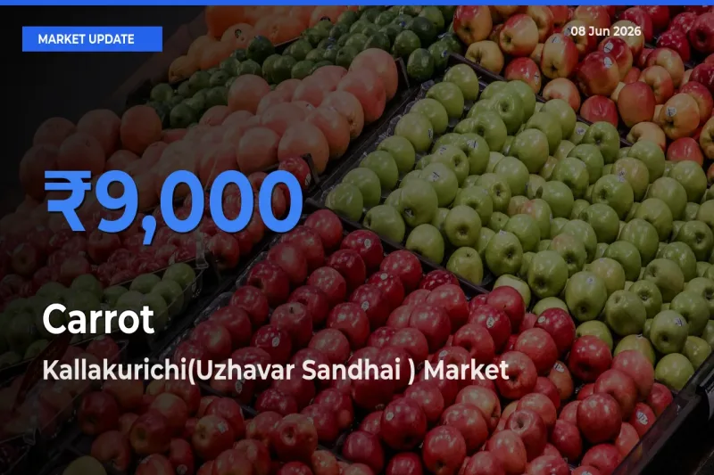 Kallakurichi(Uzhavar Sandhai ) Tops Carrot Mandi Rates Today